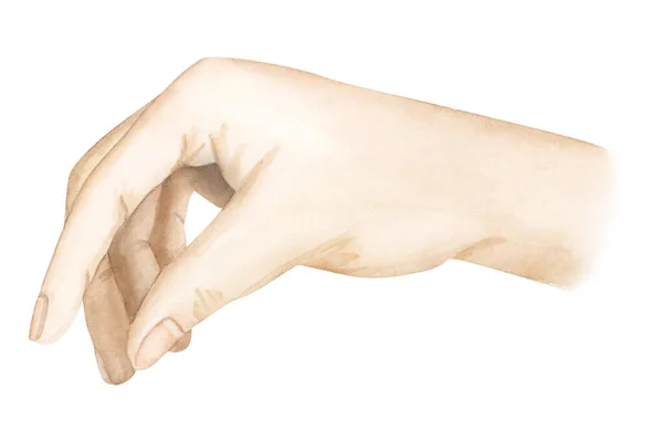 Akvarell Mänsklig Hand Innehav Pose Illustration Isolerad Vit Bakgrund För — Stockfoto
