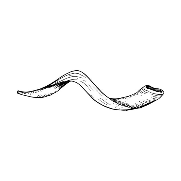 Vector long shofar horn for Rosh Hashanah and Yom Kippur graphic illustration. Jewish new year symbol in sketch black and white style for greeting cards and invitations.