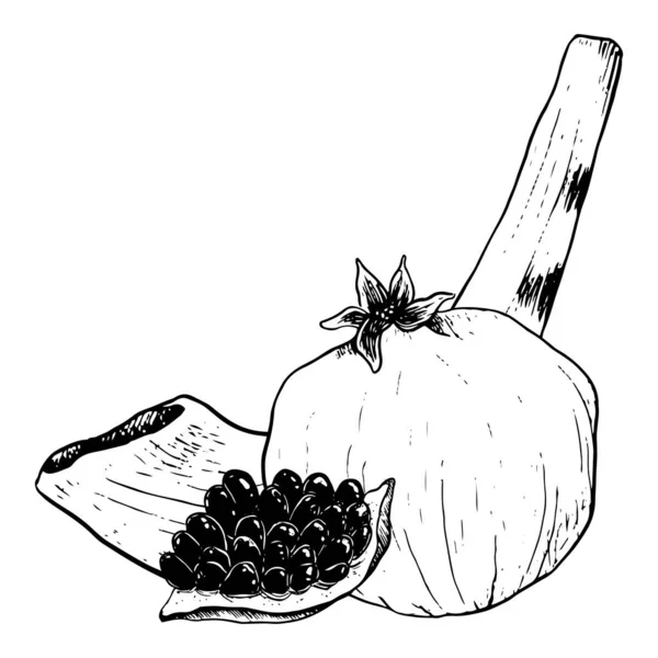 Vector Pomegranate Fruits Shofar Ram Horn Jewish New Year Rosh — Stock Vector