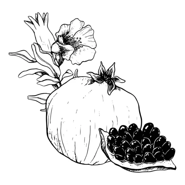 植物のデザインとユダヤの新年 ロシュ ハシャナ キプールのグラフィック ラインのイラストのためのベクターザクロの果物と花 — ストックベクタ