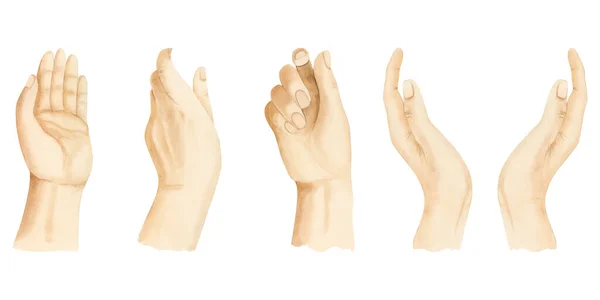 ウォーターカラーの手のジェスチャーイラストは 白い背景に単離された設定します ミニマリスト シンプルな人間の手のケア 手のひらの保持部分 — ストック写真