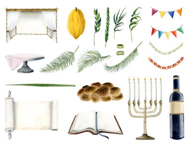 Large Sukkot collection of symbols, sukkah, tallit, waving the Lulav, Torah scroll and book, menorah and paper decorations watercolor illustration set. Etrog, hadass, lulav, aravah and palm leaves. clipart