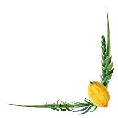 Sukkot köşe çerçevesi suluboya illüstrasyon beyaz arka planda etrog ile izole edilmiş, Yahudi bayram tebrik kartları, çıkartmalar ve davetiyeler için dört tür..