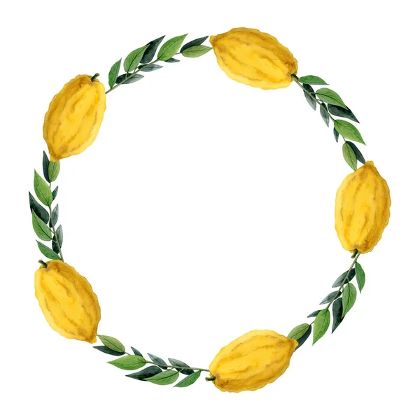 Lemon Fruits Green Leaves Wreath Frame Watercolor Illustration Isolated White — Stock Photo, Image