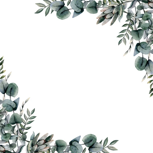 Eukalyptus Eckrahmen Mit Silbernen Dollarzweigen Auf Weißem Hintergrund Elegante Botanische — Stockfoto