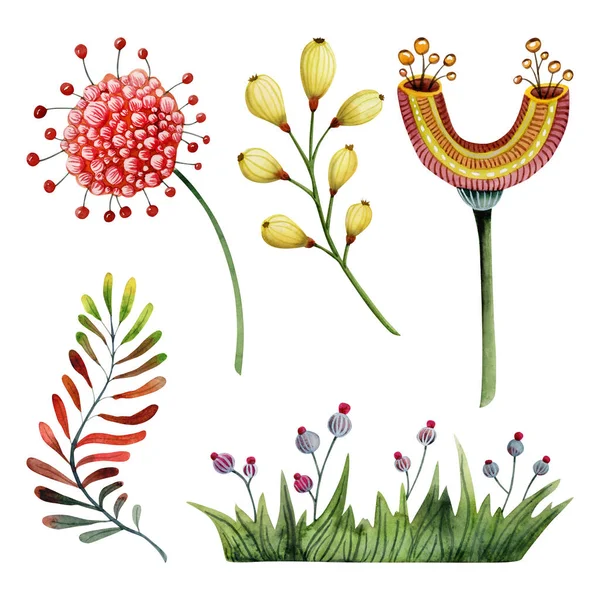Fantezi Çiçekleri Bitkiler Suluboya Çizimleri Beyaz Arka Planda Izole Edilmiştir — Stok fotoğraf