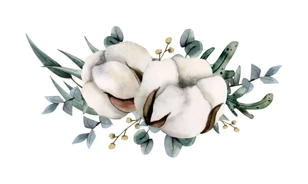 Akvarell Bomull Torra Blommor Och Eukalyptus Grenar Horisontell Komposition Banner — Stockfoto