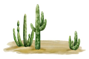 Beyaz arka planda saguaro kaktüsleri ve kum suluboya resimleriyle çöl manzarası. Arizona, Vahşi Batı veya Meksika doğası zirvesi.