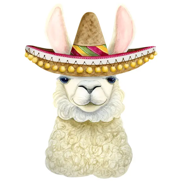 Lama Branco Com Tradicional Sombrero Mexicano Chapéu Ilustração Aquarela Isolado — Fotografia de Stock