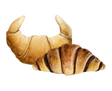 Öğle yemeği ve kahvaltı için Fransız kruvasanı. Beyaz arka planda izole edilmiş suluboya çizimler. Fırın taze hamur işi zirvesi.