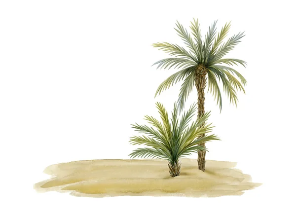 Palm Trees Beach Sand Landscape Watercolor Illustration Template Isolated White — Stock Photo, Image