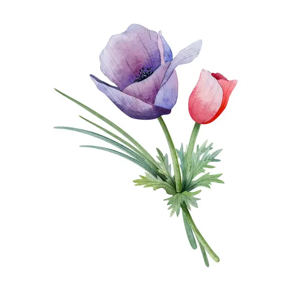 Purple and red anemone small flower bouquet with grass watercolor illustration isolated on white background. Spring botanical drawing in pastel colors for greeting cards and wedding designs.