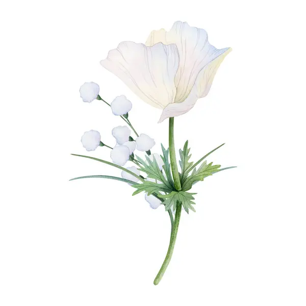 Vit Anemon Fält Blommor Och Gräs Våren Bukett Akvarell Illustration — Stockfoto