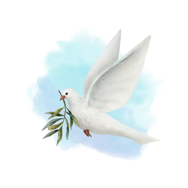 White Dove Peace Olive Tree Twig Pastel Blue Sky Background — Stock Photo, Image