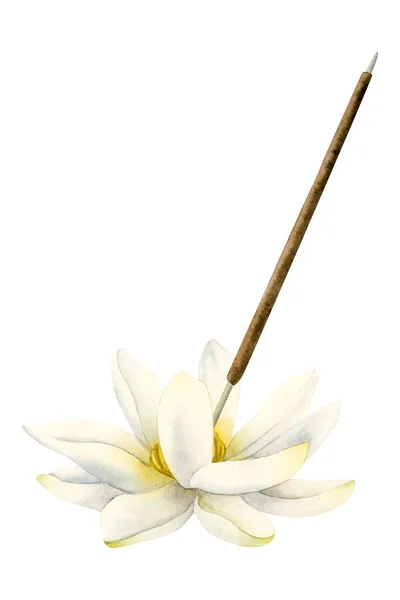 Lotus Blomma Arom Stick Stå Akvarell Illustration Isolerad Vit Bakgrund — Stockfoto