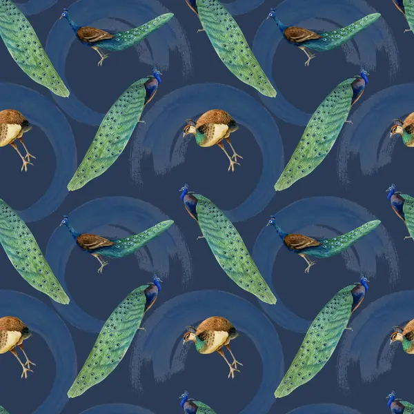 Pfauen Und Erbsenvögel Mit Farbstrichen Nahtloses Muster Auf Dunkelmarineblauem Hintergrund — Stockfoto