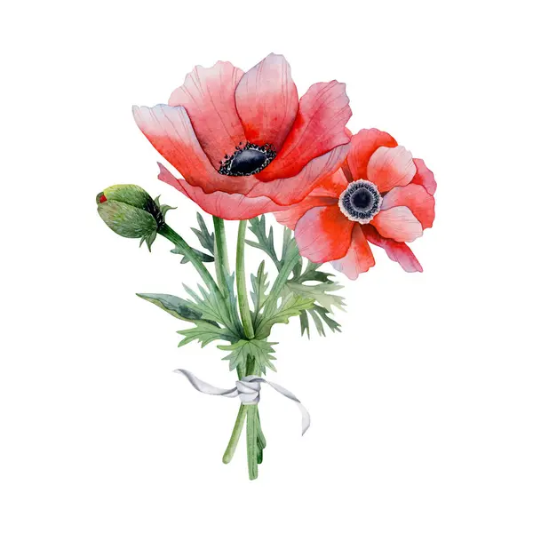 Red wildflowers anemone bouquet with field poppies flowers and bud watercolor illustration isolated on white background for spring wedding design element and Mothers day cards.