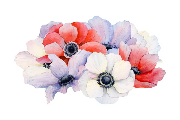Pile Purple Red White Anemone Flowers Petals Watercolor Illustration Isolated — Stock Photo, Image
