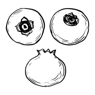 Kutlama kartları, logolar ve ambalajlar için farklı böğürtlenler içeren siyah-beyaz vektör mürekkep çizimi.