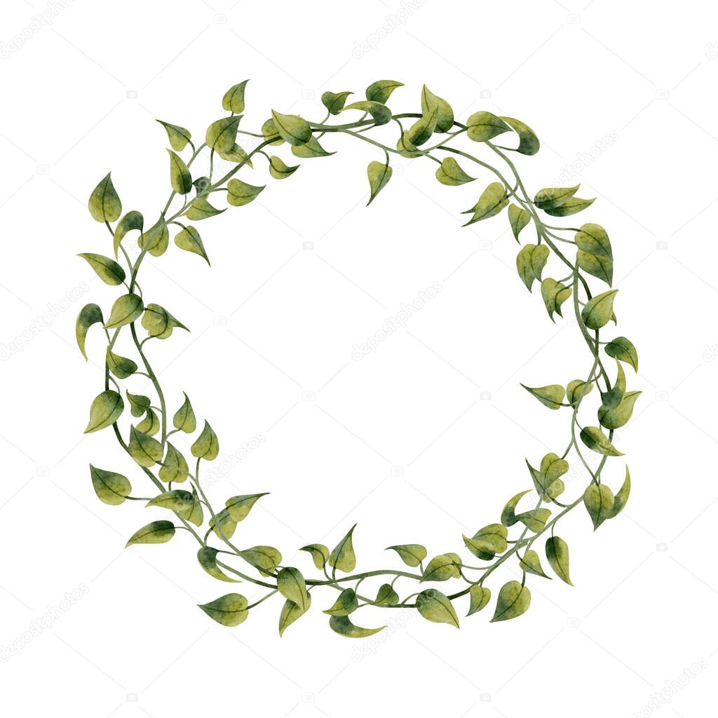 Epipremnum liana vine wreath watercolor illustration isolated on white. Simple realistic round frame for organic, floral and botanical design of stickers and labels.