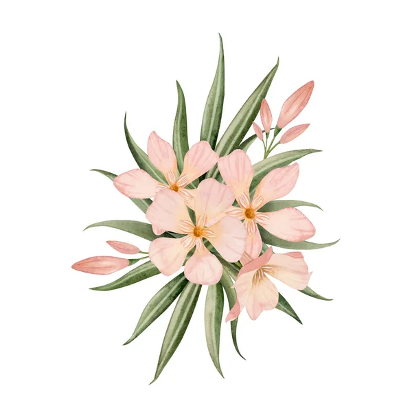 Bujny Bukiet Kwiatów Oleander Pączków Liści Akwarela Ilustracja Izolowana Białym — Zdjęcie stockowe