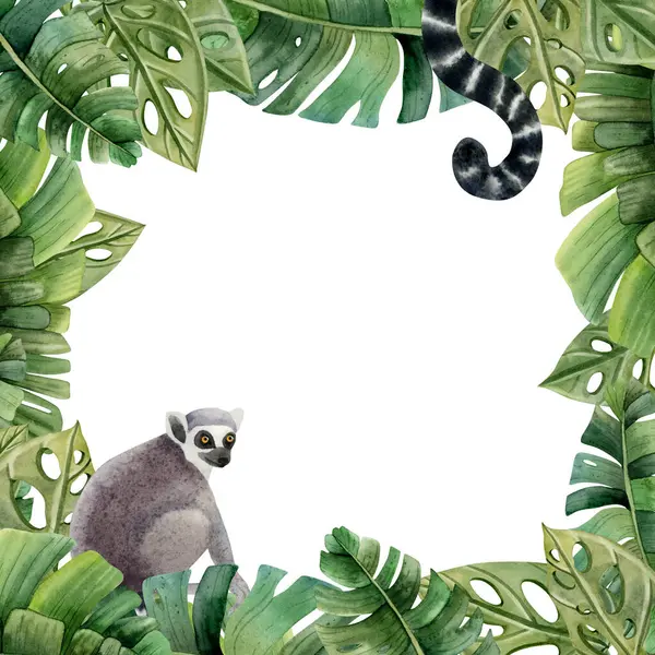 Tropical Palm Leaves Lemur Monkeys Long Tails Square Summer Frame — Stock Photo, Image