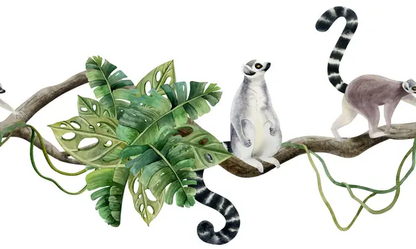 Jungle Tropisk Sömlös Gräns Med Lemurer Vinrankor Lianas Och Palmblad — Stockfoto