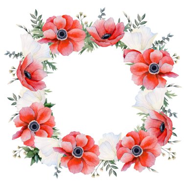 Kırmızı ve beyaz şakayık çiçekli kare çerçeveli suluboya izole bir resim. Haşhaş tarlaları tebrik kartları, etiketler, bahar çiçek pazarları veya anneler günü için şablon oluşturur.