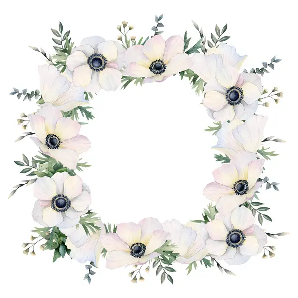 Weiße Anemonen Feld Blumen Quadratischen Rahmen Aquarell Isolierte Illustration Wildblumen — Stockfoto