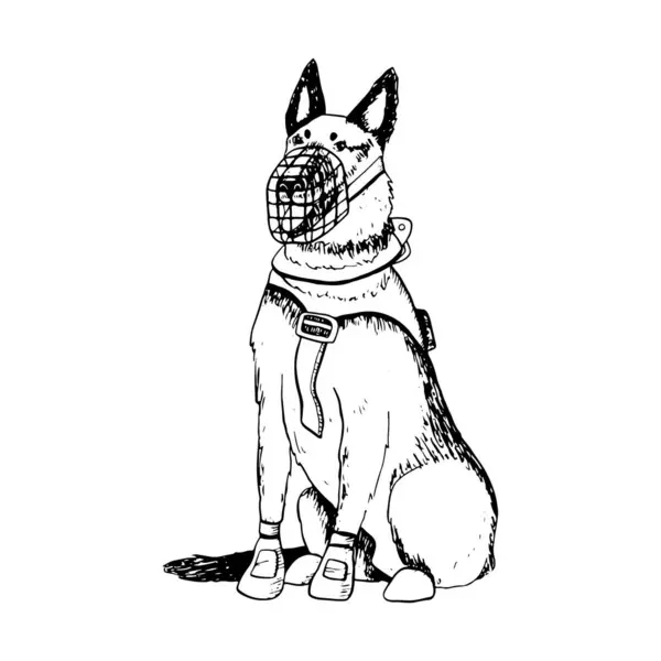 Sitting Dog German Shepherd Belgian Malinois Muzzle Vest Vector Illustration — Stock Vector