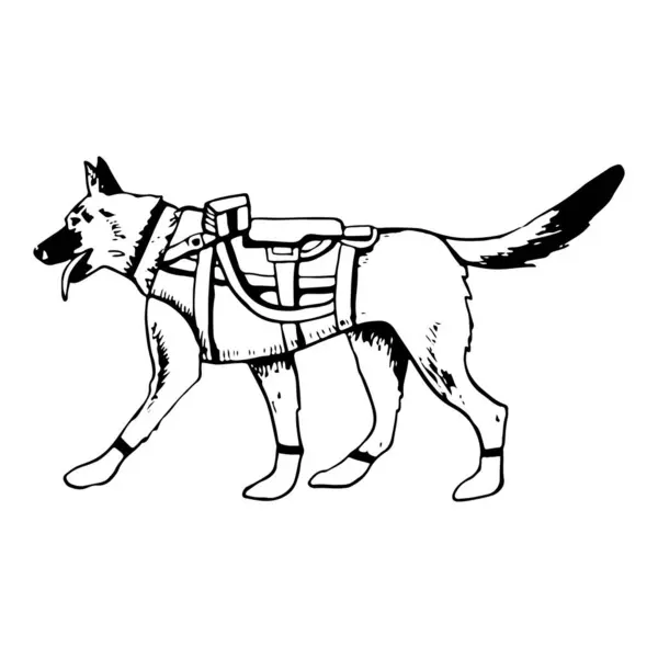 Military Dog Soldier Armor Vest Vector Illustration Walking German Shepherd — Stock Vector