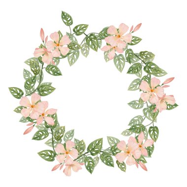 Zakkum çiçekleri ve canavar sarmaşıkları ile tropik yuvarlak çelenk beyaz arka planda izole edilmiş suluboya çiçekleri. Logo tasarımı, kartlar ve çıkartmalar için botanik yaz çizimi.