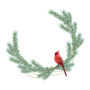 Kırmızı kardinal kuşlu Noel ağacı dalları. Çelenk çerçeveli. Sulu boya, kış tatilleri için izole edilmiş..