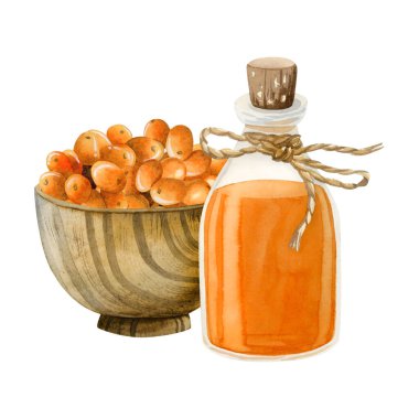 Cam şişedeki Buckthorn yağı, beyaz arka planda izole edilmiş, portakal böğürtleni ve suluboya resimleriyle dolu. Sağlıklı yaşam tarzı ve tıp için organik bitkisel su aygırı ürünü.