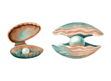 Açık deniz kabuklarındaki inciler beyaz arka planda izole edilmiş suluboya resimleme seti. Su altı ve deniz tasarımları için turuncu ve mavi tek renkli el yapımı tatlı su midyeleri..