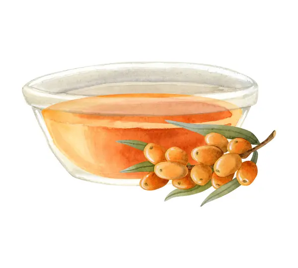 Orange Sea Buckthorn Oil Glass Bowl Berries Branch Watercolor Illustration — стоковое фото