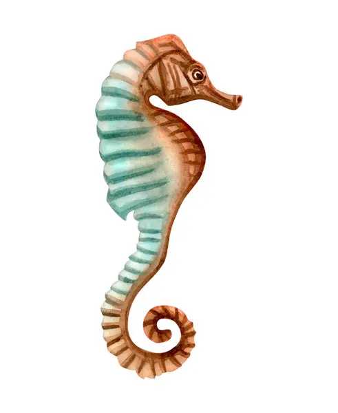 Seahorse Blue Green Brown Colors Watercolor Illustration Isolated White Background — стоковое фото