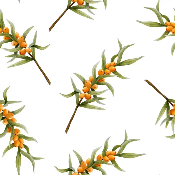 Sea Buckthorn Watercolor Seamless Pattern White Orange Berries Branches Botanical — стоковое фото
