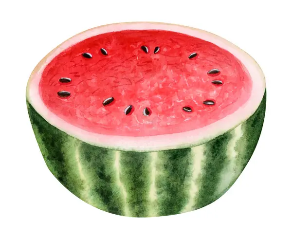 Cut Watermelon Half Watercolor Illustration Isolated White Background Hand Drawn — стоковое фото