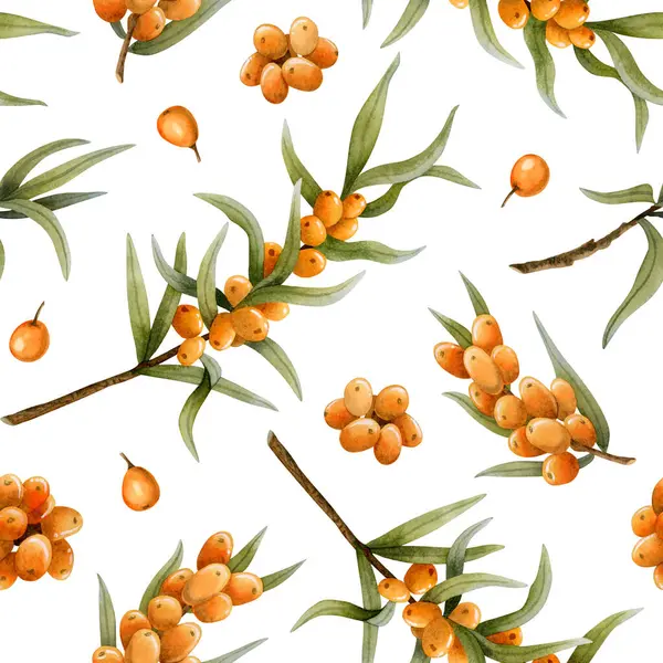 Sea Buckthorn Fall Watercolor Seamless Pattern Branches Berries White Botanical — стоковое фото