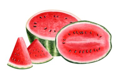 Watercolor watermelons halves and triangle slices illustration isolated on white background. Delicious ripe fruits in realistic style for summer drinks and juices.