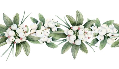 Kar çileği dalları ve beyaz böğürtlen suluboya dikişsiz sınır çizimi. El çizimi Noel bitkisi botanik afişi kış tatili ve yeni yıl için.