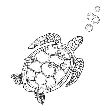 Hava kabarcıkları arasında yüzen çizgi deniz kaplumbağası siyah ve beyaz vektör çizimi. Oval kabuklu mürekkep monokrom deniz hayvanı. Denizcilik tasarımları için okyanus altı doğası.