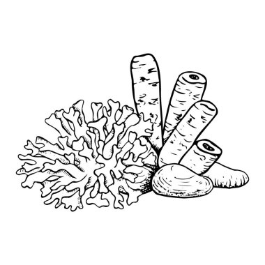 Siyah ve beyaz deniz tüplü mercan resifi düz vektör çizimi ve boyama için kaya. El çizimi monokrom su altında doğa, deniz ve deniz tasarımı için okyanus polipleri çizimi.