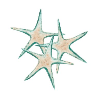 Beyaz arka planda izole edilmiş suluboya deniz yıldızı çizimi. Denizcilik tasarımları için egzotik resiflerden gelen bir grup tropikal hayvan. Deniz yıldızları tırmanıyor.