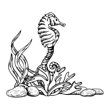 Deniz yosunları ve deniz yatağı taşları arasında siyah ve beyaz vektör çizimi. Tek renkli sualtı okyanus dibi mürekkebi çizimi. Deniz boyama tasarımı ve deniz baskısı için el çizimi çizimi.