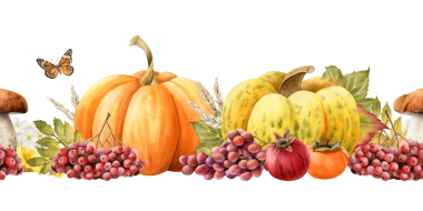 Sonbaharda kabak, mantar, buğday, üzüm ve dikişsiz hudut boyası hasadı. Kelebekli sebze ve meyve mahsulü ve turuncu, kırmızı ve sarı renkli hurma.