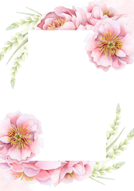 Pastel pembe şakayık çiçekleriyle suluboya çiçek şablonu. Satış pankartları, davetiyeler ve tebrik kartları için kopya alanı ile suluboya dikey çerçeve izole edilmiş illüstrasyon