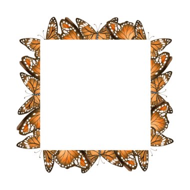 Orange and black butterflies square frame with copy space watercolor isolated illustration. Summer and fall flying monarch template in autumn colors. clipart