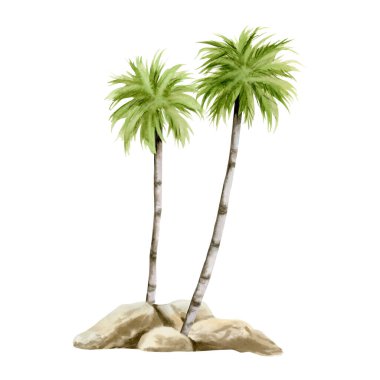 Taşların üzerinde yetişen iki palmiye ağacı suluboya çizimi tropik yaz tatili ve seyahat tasarımları için beyaz arka planda izole edilmiş. Florida Flora 'nın el yapımı yeşil egzotik bitkiler.